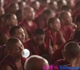 吐槽坑最新爆笑笑话搞笑图片神吐槽20161221
