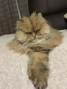 千奇百怪的雕塑
