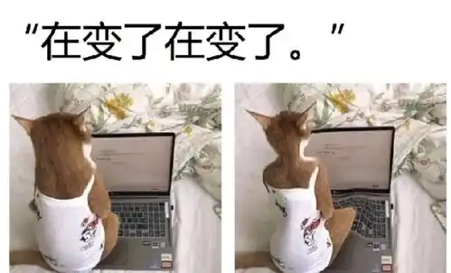 搞笑图片路见不平一声吼,吼完继续往前走腾讯新闻

