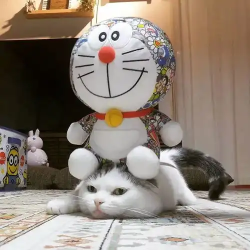 只见新猫笑,不见旧猫哭
