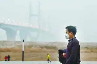 雾霾来袭今明注意防护雨水君双休扰江城
