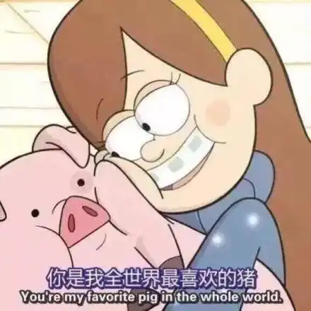 有哪些猪的搞笑图片或者表情包
