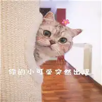 超萌超可爱的喵星人表情包萌猫搞笑表情包带字大全
