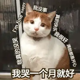 在深圳,因为穷穷穷你们都做过什么

