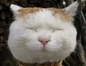 为什么有人学识渊博,却依然是个low咖
