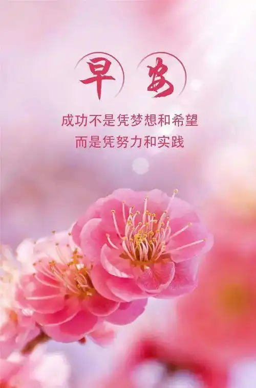 腾辉传媒早安心语靠天靠地,最终还得靠自己
