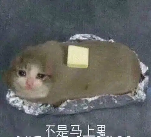 夜生活丰富的人都有哪些特征
