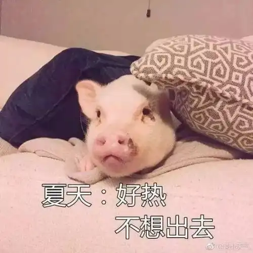 唐县今天到达了40热你没商量

