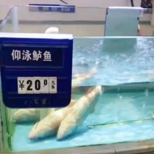 搞笑趣图长辈的爱也许你一时接受不了,但那是最真实的爱
