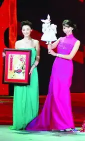 揭秘傅琰东央视元宵魔术穿帮历届春晚搞笑穿帮镜头盘点14
