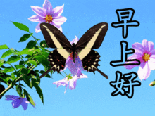 早晨好动画图片精选,微信早晨表情包
