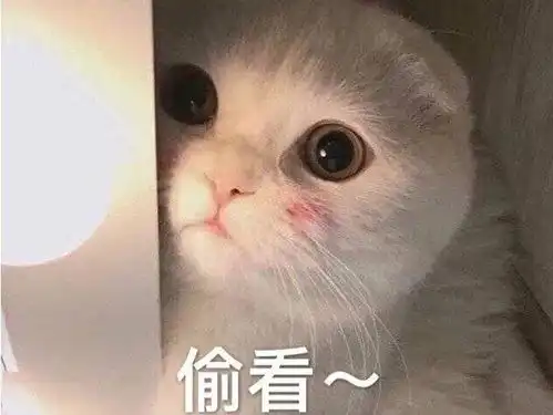 视界之外日常vlog仍欢乐
