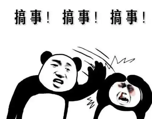 爆笑故事往南瓜里拉翔然后盖好,因果报应,这南瓜竟来到我家
