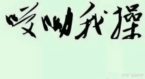 那些易认错的爆笑书法作品,没文化不要轻易读出声哈哈哈哈哈哈哈
