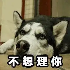 一大波二哈表情包,赶紧收好
