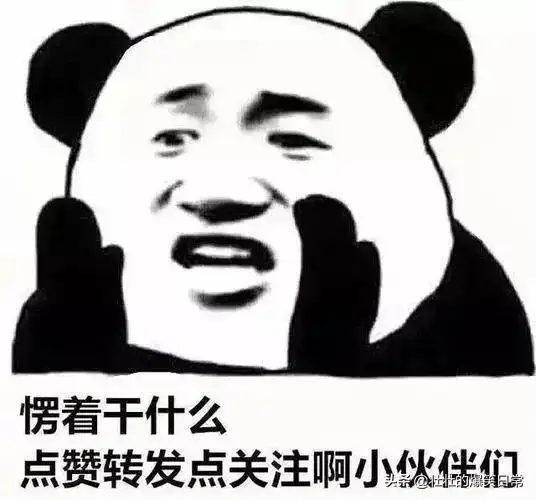 每日一笑沙雕段子
