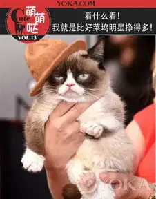 臭脸才是王道不爽猫收入甩好莱坞巨星几条街
