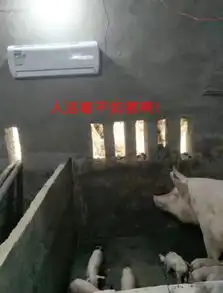 今日全宇宙最涨姿势的十张图
