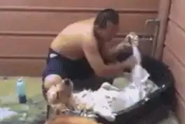 搞笑段子gif图每次出差睡宾馆,我总觉得这是张有故事的床
