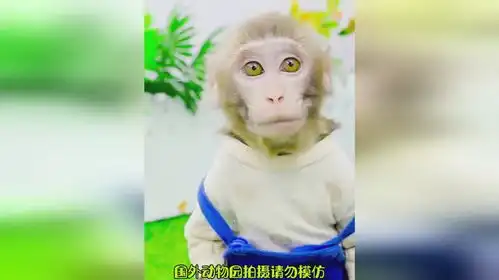 小吃货搞笑吃货动物
