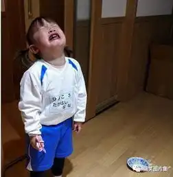 搞笑图片这才是真的搬砖工作
