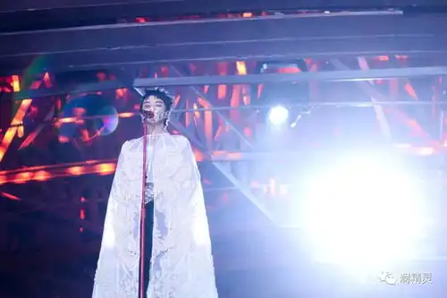 原创一花一世界之花花9华晨宇,你就是美好的存在
