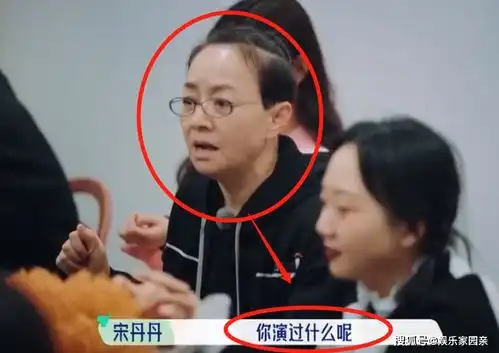 张翰录节目不被待见,曾跟董明珠谈笑风生,如今宋丹丹却不留情面
