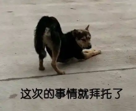 稳居朋友圈c位的憨憨文案本来今年打算咸鱼翻身的,结果粘锅了
