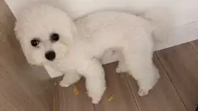 睡着了就咋也搞不醒了啊
