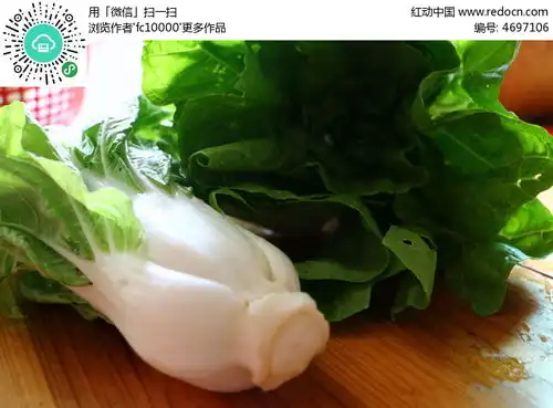 白菜摄影高清图片下载红动网
