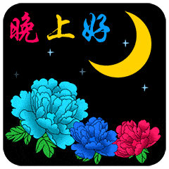 晚上好祝大家晚安好梦
