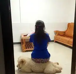 搞笑gif不丑,你再怎么丑也是爸爸的女儿
