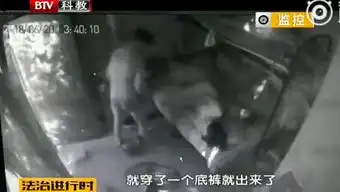 裸男进了屋北京内裤哥一个月盗窃7次
