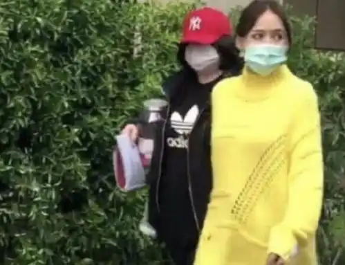 陈乔恩疑似怀孕随后本人发视频澄清,底下网友评论太搞笑
