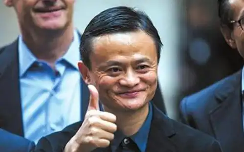 郎咸平马云就是利用人性的贪婪,把合理的行业搞成了恶性竞争
