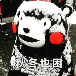 进击的熊本熊之夏日大作战深圳仁孚
