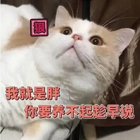 导致50的人一再减肥失败的营养不良型肥胖,你是吗
