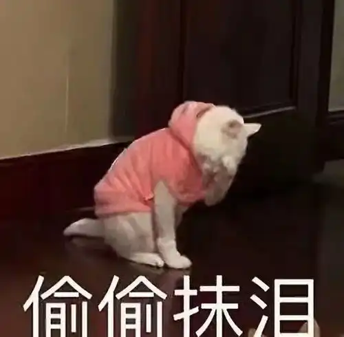 冬天滑倒时用什么姿势比较帅北方同学必看
