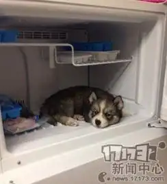 搞笑内涵认真的妹子最迷人
