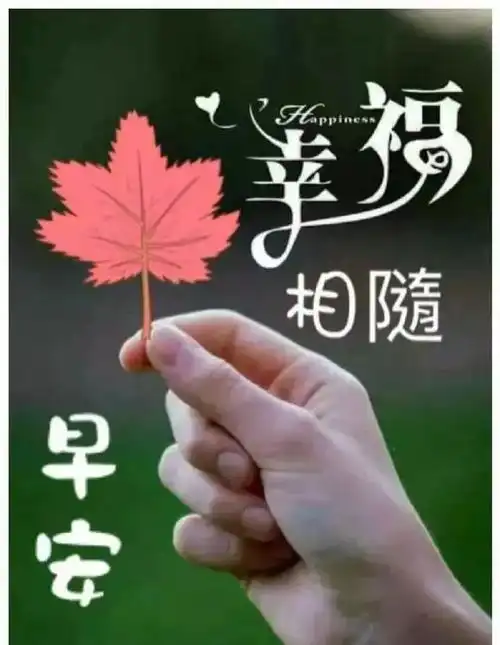 微信朋友群早安心语阳光温馨短信微信早晨好图片动画带字大全
