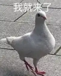 紧急台风海高斯今晚登陆东莞8级大风大暴雨

