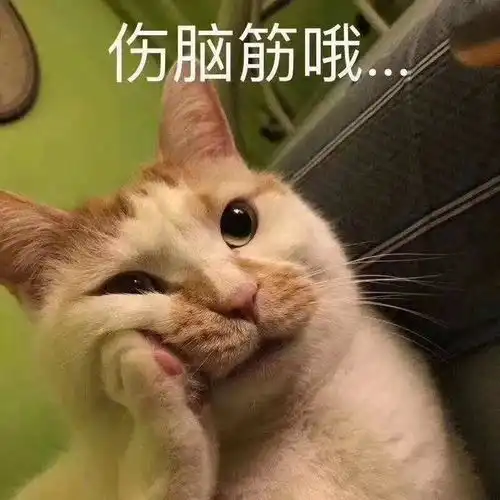 孩子一说去幼儿园就又哭又闹,家长怎么做最好
