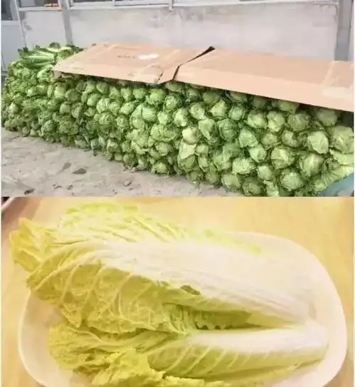 如果一个人生无可恋,就放他去菜市场
