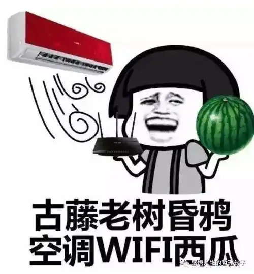 形容夏天天热的幽默句子,表达天气太热的搞笑说说
