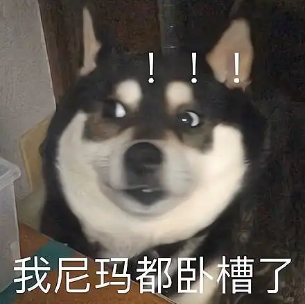 每日一笑最近小区经常发生猥琐事件,吓得我门都不敢出
