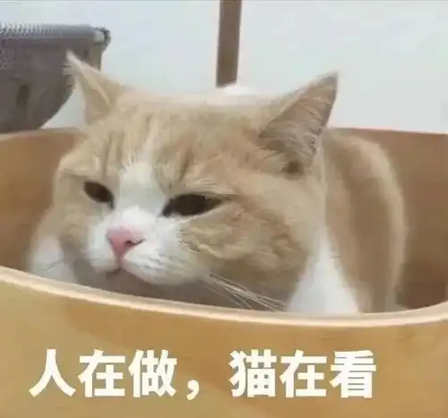 搞笑表情包图片小朋友,你怎么有那么多问号
