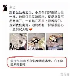 哈哈
