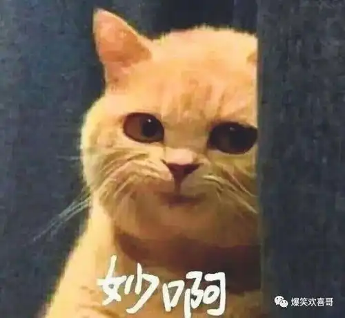 爆笑沙雕欢喜哥我的和你的有什么区别,摸一下你就知道了
