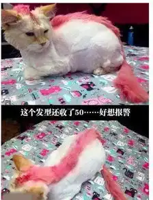 搞笑图片妹子还是回家睡吧,小心着凉

