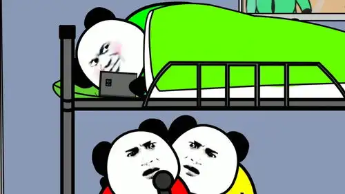有一个lsp室友是什么体验
